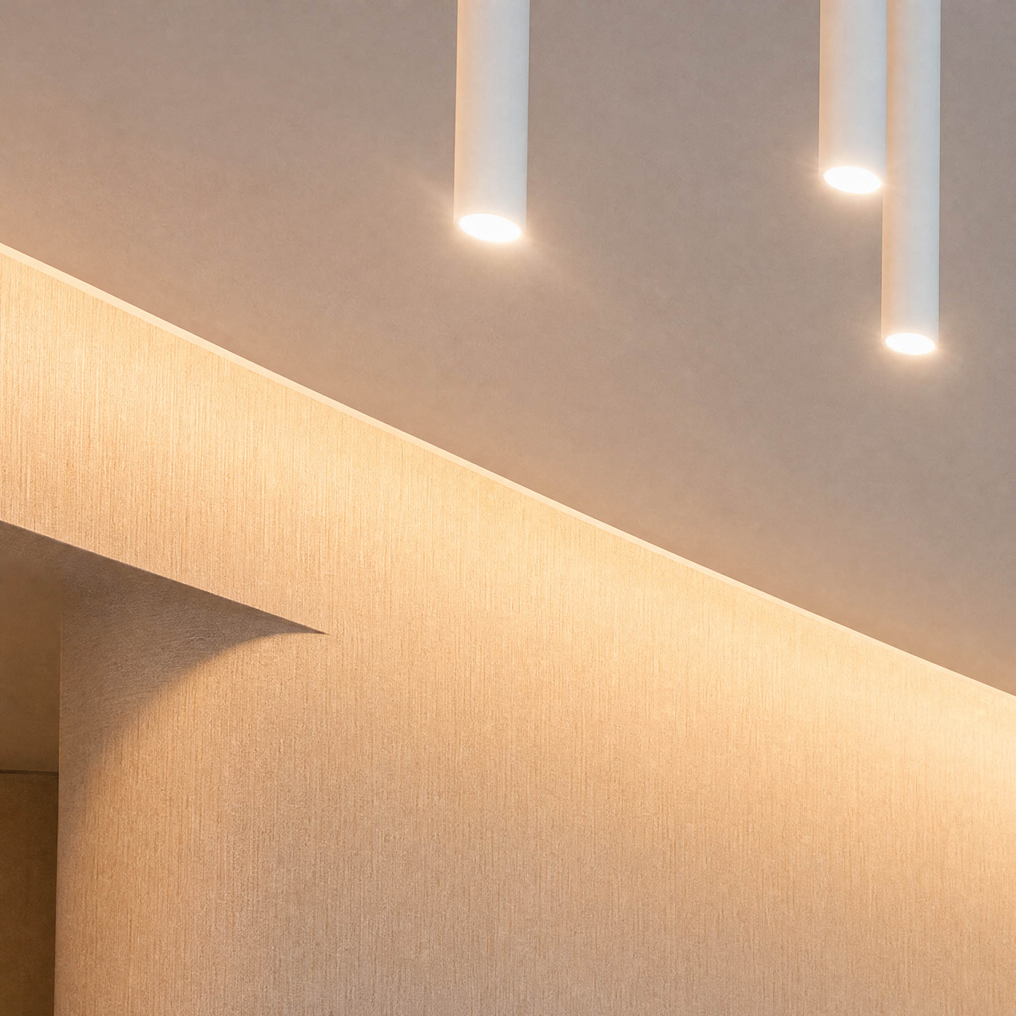 Détail du projet — éclairage tubulaire et lumière indirecte